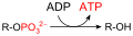 Thumbnail for version as of 15:38, 25 May 2026