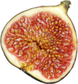 Thumbnail for version as of 13:39, 8 June 2026