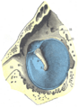 Thumbnail for version as of 17:28, 18 May 2026