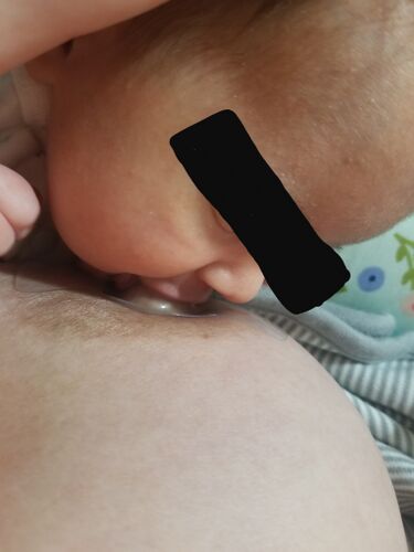 File:Nipple shield3.jpg