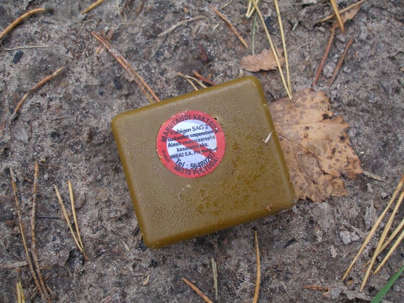 File:Rabies vaccine in bait.jpg