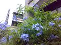 Thumbnail for version as of 13:40, 8 June 2026