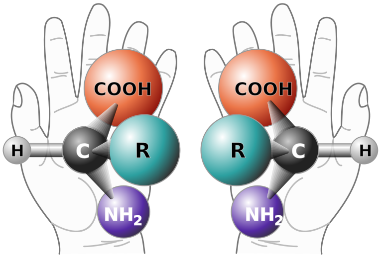 File:Chirality with hands.svg