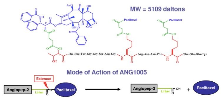 File:ANG1005mechanism.pdf