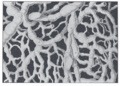 Thumbnail for version as of 17:28, 18 May 2026
