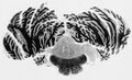 Thumbnail for version as of 22:26, 8 June 2026