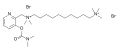 Thumbnail for version as of 11:33, 19 May 2026