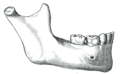 Thumbnail for version as of 17:28, 18 May 2026