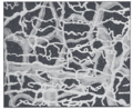 Thumbnail for version as of 17:28, 18 May 2026