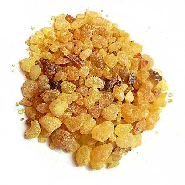 File:Olibanum resin.jpg