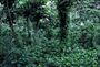 Thumbnail for version as of 22:28, 8 June 2026
