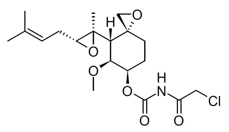 File:TNP-470 structure.png