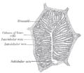 Thumbnail for version as of 17:28, 18 May 2026