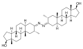 Thumbnail for version as of 11:33, 19 May 2026