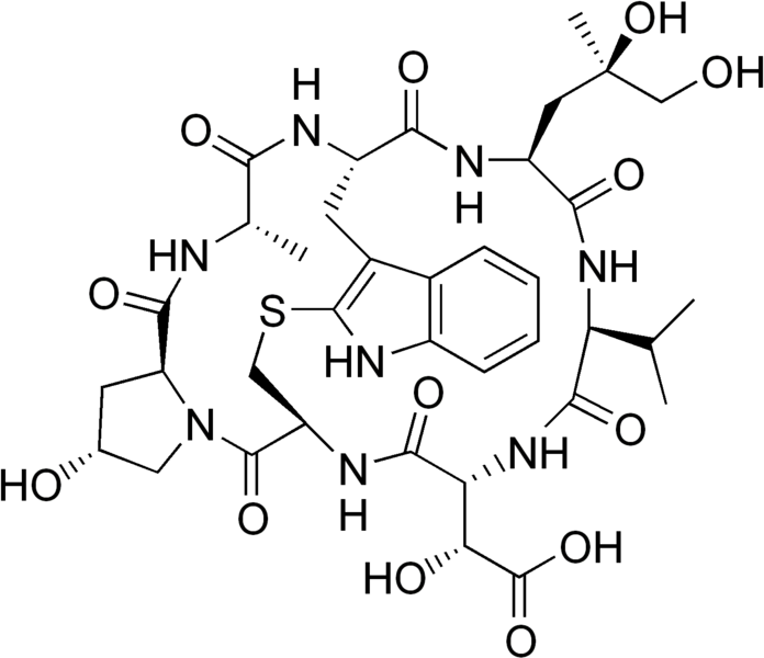 File:Phallacidin.png