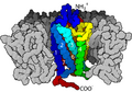 Sketch of a 7-transmembrane receptor in the membrane