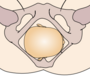 Thumbnail for version as of 13:39, 8 June 2026