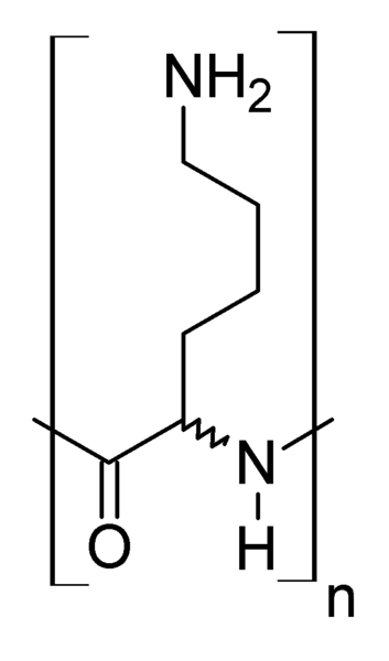 File:Alpha-Polylysine.png