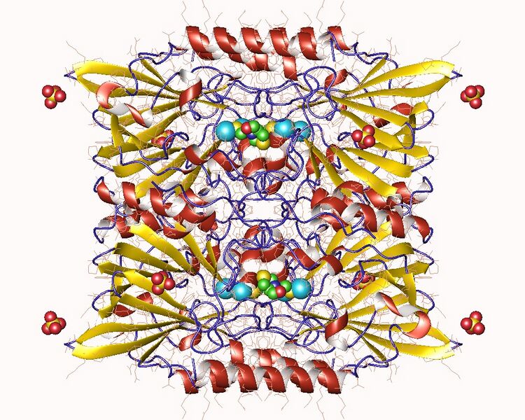 File:5evb.jpg
