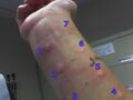 Thumbnail for version as of 19:19, 4 June 2026