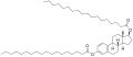 Thumbnail for version as of 21:07, 21 May 2026