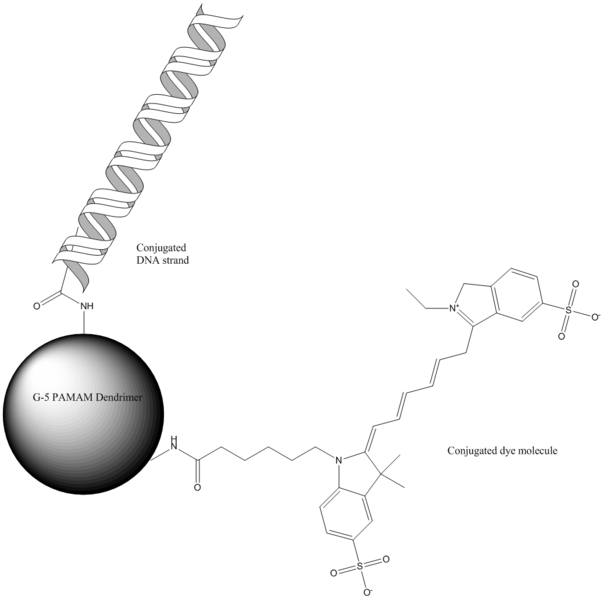 File:538 Gene delivery.png