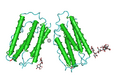 Structure of Human Interferon Beta-1a