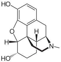 File:Dihydromorphine 2D structure.svg