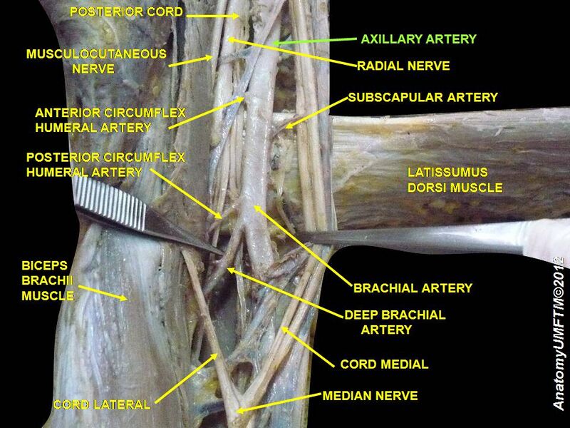 File:Slide15SSS.JPG