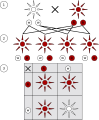 Thumbnail for version as of 03:34, 5 June 2026
