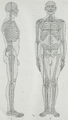 Thumbnail for version as of 19:18, 4 June 2026